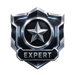 Expert